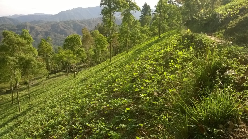 Windows Phone_20150401_08_54_29_Pro