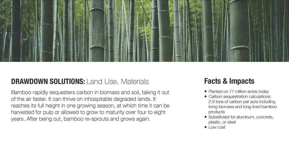 Pages from BAMBU.Final Project